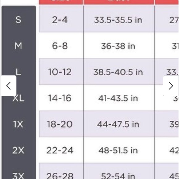 Spanx Top - Picture 5 of 5